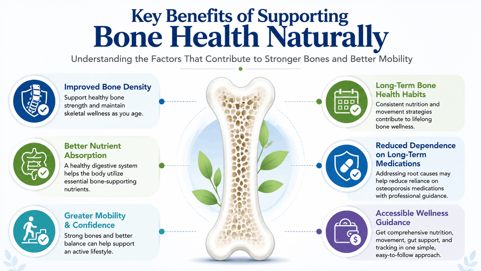 Bone density solution